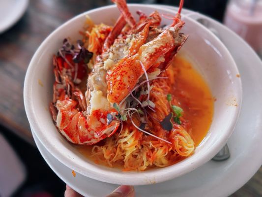 Malibu Farm Lido by null