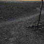 Photo of Lost Dog Trailhead