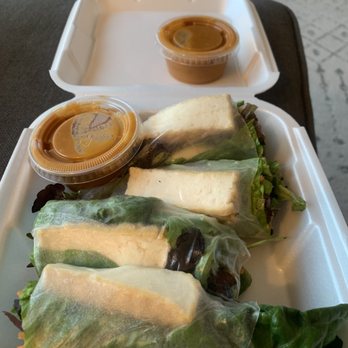 The Orient Thai Cafe - Yum!! Fresh Winter Roll - Thai Near Me - San Diego, California The Orient Thai Cafe - Yum!! Fresh Winter Roll - Thai Near Me - San Diego, California