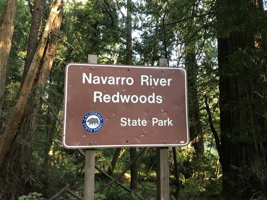Navarro River Redwoods State Park by null