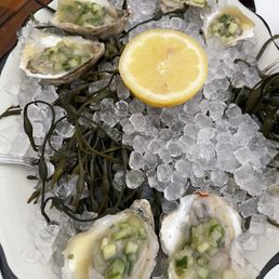 East Coast Oysters