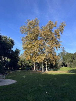 Hans Christian Andersen Park by null