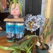 Photo of Wedge Brewing Company - Asheville, NC, United States. Funky!