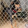 Photo of Austin Pets Alive Tarrytown Adoption Center