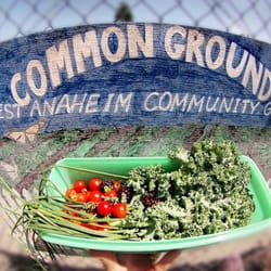 Common Ground
