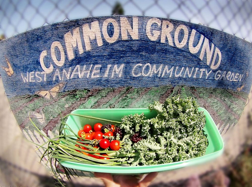 Common Ground - social services organization in Anaheim, CA