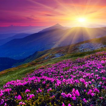 Relationship Center for Change - Let the sun shine through - Counseling & Mental Health Near Me - Petaluma, California