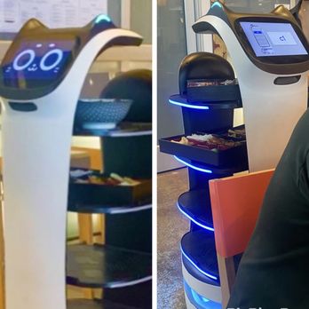 Chi Lin Asian Eatery - Robotic Kat Server! Was so cute and cool! - Ramen Near Me - Aurora, Colorado
