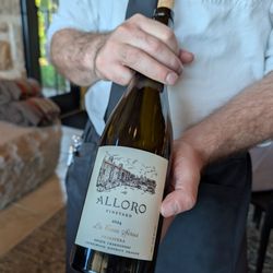 Alloro Vineyard