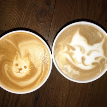Seattle Meowtropolitan - complimentary if you go in the cat area - Themed Cafes Near Me - Seattle, Washington Seattle Meowtropolitan - complimentary if you go in the cat area - Themed Cafes Near Me - Seattle, Washington