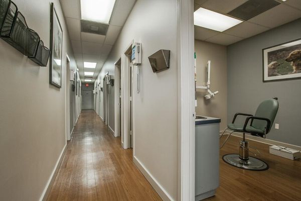 Brident Dental & Orthodontics