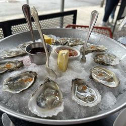 Oysters