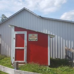 Millers Egg Ranch