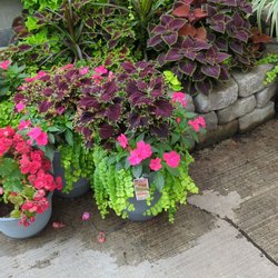 Lowe's Home Improvement - It's about that time to plant some flowers.