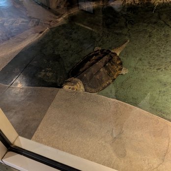Reptile Gardens - Botanical Gardens Near Me - Rapid City, South Dakota