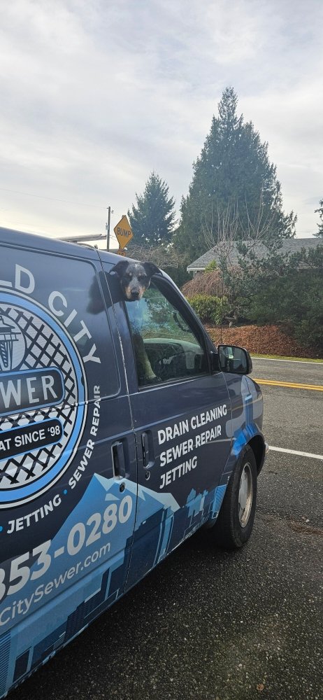 Slide of Emerald City Sewer