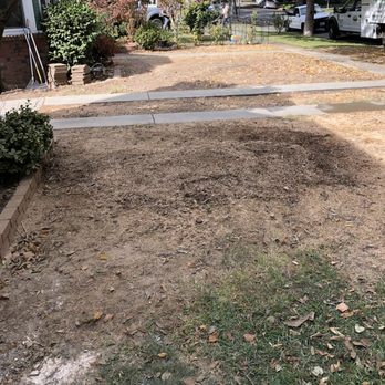 FB Tree Services - Trees gone, stump grinding complete, and all debris removed - Tree Services Near Me - North Highlands, California FB Tree Services - Trees gone, stump grinding complete, and all debris removed - Tree Services Near Me - North Highlands, California