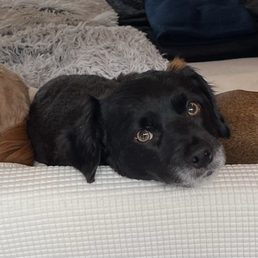 Our three musketeers
