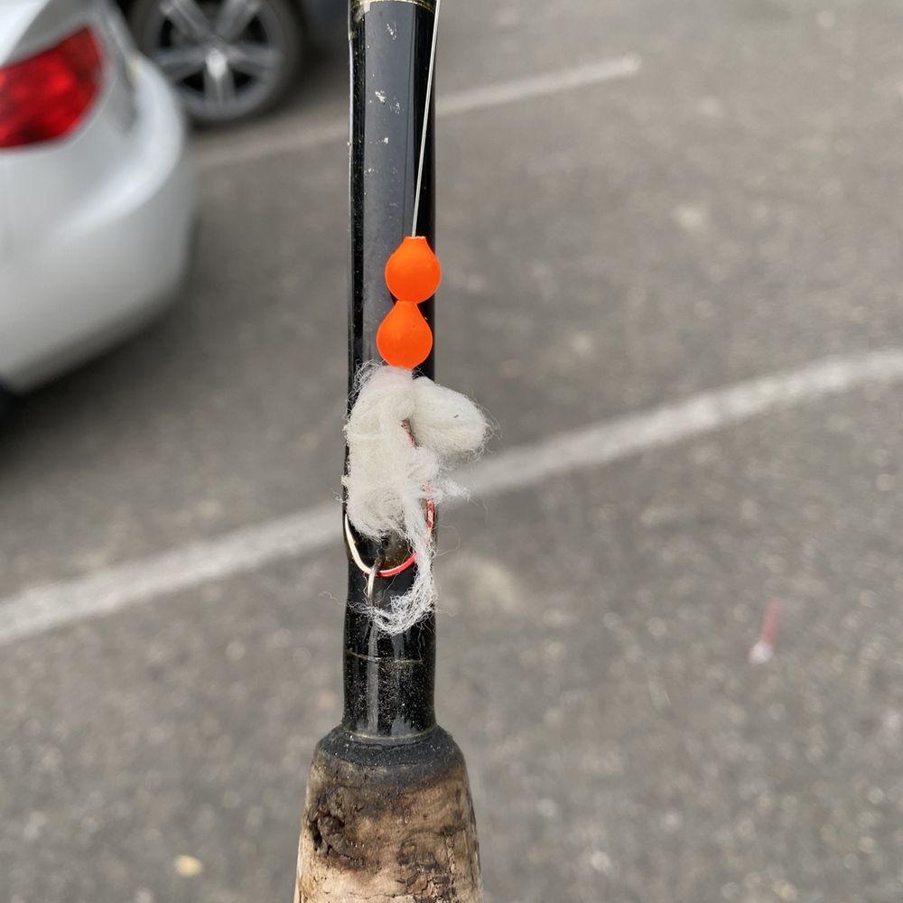 Big King Salmon Charters - A pole with no boat or captain - Boating Near Me - Edmonds, Washington