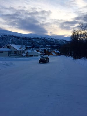 Arctic University Museum of Norway by null