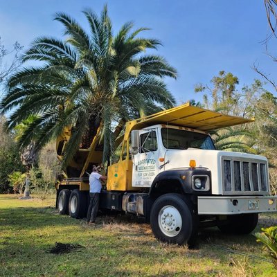 Associated Treemasters