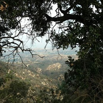 Newhall Pass Open Space - View through the oak trees. - Hiking Near Me Newhall Pass Open Space - View through the oak trees. - Hiking Near Me