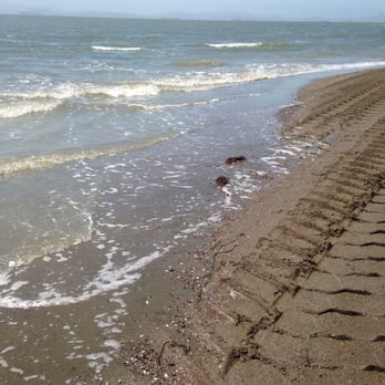 Alameda Beach - I love this beautiful beach!! - Beaches Near Me - Alameda, California