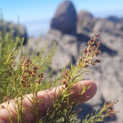 Mishe Mokwa Trail to Sandstone Peak