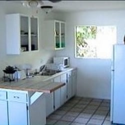 Koa Wood Hale - Patey's Place Hostel