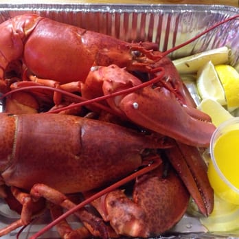 The Blue Lobster - Paid for less 1 1/4lb, got more like 1 1/2lb nice! Wanted a 2lb, they were out, gave me this for same price, awesome - Seafood Markets Near Me - Berlin, Connecticut The Blue Lobster - Paid for less 1 1/4lb, got more like 1 1/2lb nice! Wanted a 2lb, they were out, gave me this for same price, awesome - Seafood Markets Near Me - Berlin, Connecticut