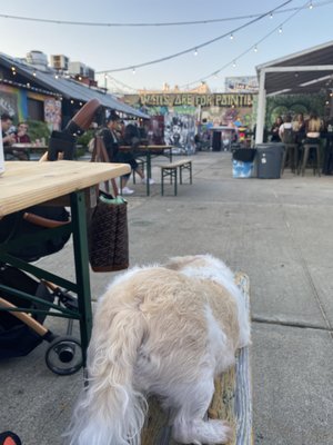 Brooklyn Beer Garden by null