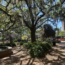 Lafayette Square