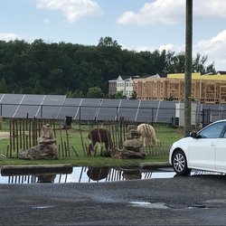 Liquor Barn - Llamas or alpacas? Either way, this is a nice juxtaposition of the transformation to typical suburban hell that the area is undergoing