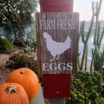 Fred's Urban Farm - Yummy eggs! - Farms Near Me - Spring Valley, California Fred's Urban Farm - Yummy eggs! - Farms Near Me - Spring Valley, California