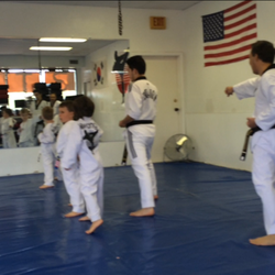 Master Hwang's Martial Arts