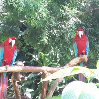 Bloedel Conservatory - Carmen & maria - Botanical Gardens Near Me - Vancouver, British Columbia
