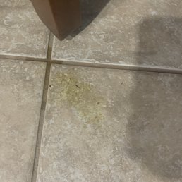 Does this look mopped?