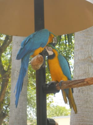 Miami Seaquarium by null