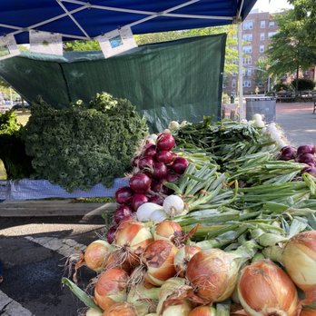 Forest Hills Greenmarket - Produce - Farmers Market Near Me - Forest Hills, New York