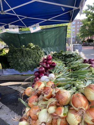 Forest Hills Greenmarket by null
