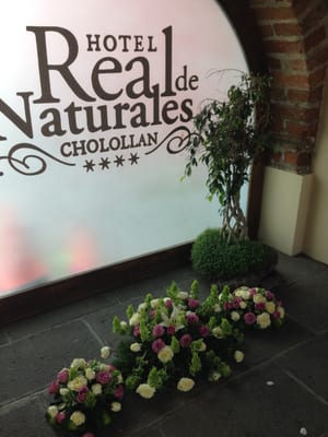Hotel Real de Naturales by null