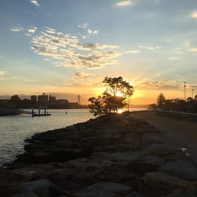 Barangaroo Reserve by null
