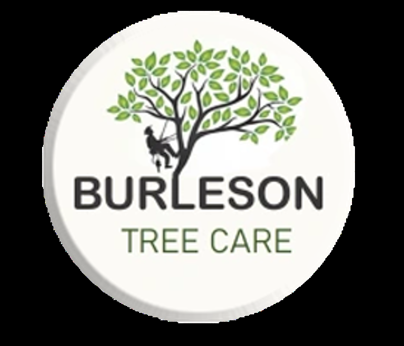Burleson Tree Care - tree service in San Antonio, TX