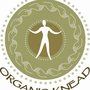 Photo of Organic Knead