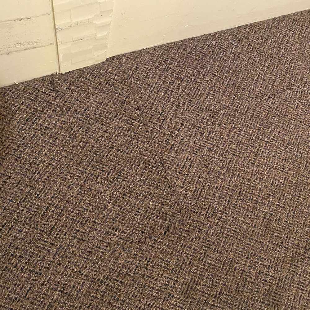 Anchor Lodge - Replaced patch of carpet - Hotels Near Me - Fort Bragg, California Anchor Lodge - Replaced patch of carpet - Hotels Near Me - Fort Bragg, California