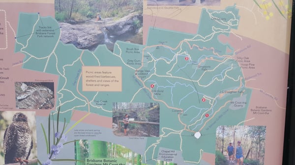 Mount Coot-Tha Summit Lookout by null