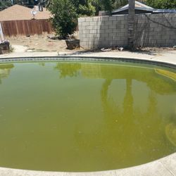 Edgar's Pool Servicing - Sherk's Family (a lil humor)