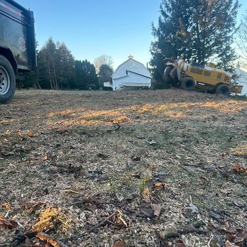 A.B.E. Lawn & Tree - Tree Services Near Me - Walnutport, Pennsylvania A.B.E. Lawn & Tree - Tree Services Near Me - Walnutport, Pennsylvania