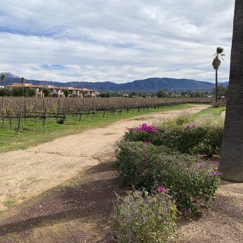 El Cielo - Wineries Near Me - El Porvenir, BCN