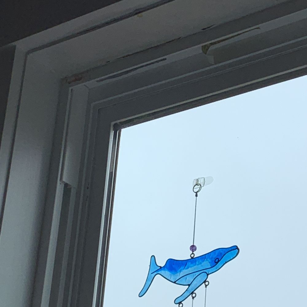 My City Home Inspector - Kitchen and back door windows leak...if not fixed will get even more expensive... - Home Inspectors Near Me - Chattanooga, Tennessee My City Home Inspector - Kitchen and back door windows leak...if not fixed will get even more expensive... - Home Inspectors Near Me - Chattanooga, Tennessee